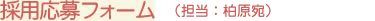 �̗p����t�H�[�� 